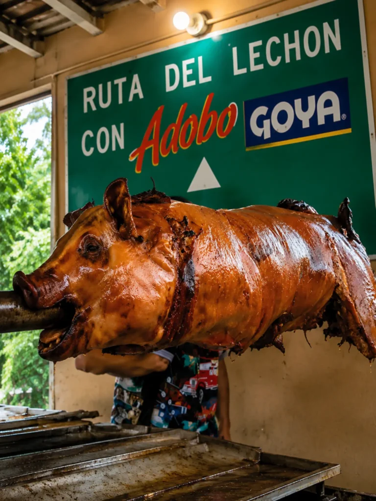 cerdo fuego indirecto