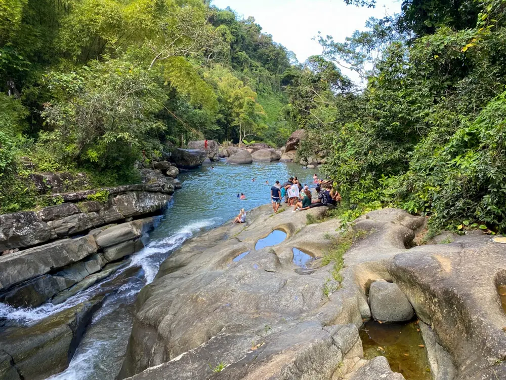 Rainforest Waterslides Adventure